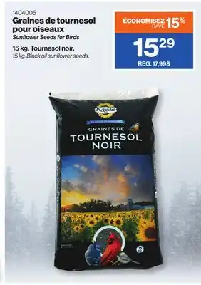 Patrick Morin Sunflower Seeds for Birds offer