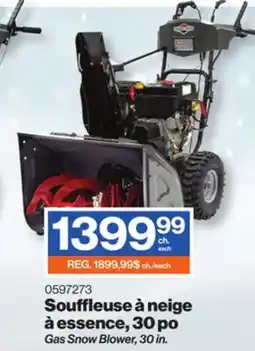 Patrick Morin Gas Snow Blower offer