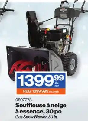 Patrick Morin Gas Snow Blower offer