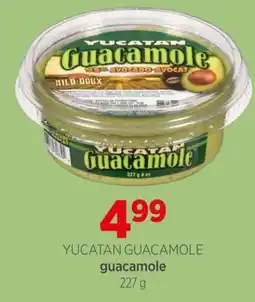 Avril YUCATAN GUACAMOLE offer