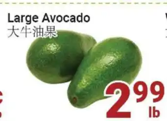 Oceans Fresh Food Market Large Avocado offer