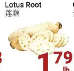 Oceans Fresh Food Market Lotus Root offer