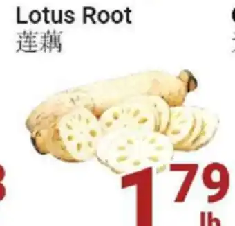 Oceans Fresh Food Market Lotus Root offer