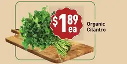 Healthy Planet Organic Cilantro offer