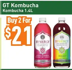 Healthy Planet GT Kombucha Kombucha offer