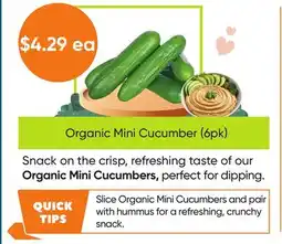 Healthy Planet Organic Mini Cucumber offer