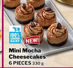 M & M Food Market Mini Mocha Cheesecakes offer