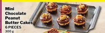 M & M Food Market Mini Chocolate Peanut Butter Cakes offer