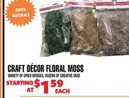 Len's Mill Stores CRAFT DÉCOR FLORAL MOSS offer