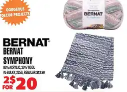 Len's Mill Stores BERNAT SYMPHONY offer