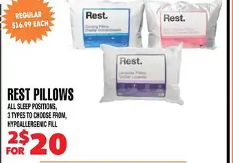 Len's Mill Stores REST PILLOWS offer