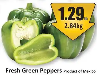 Starsky Fresh Green Peppers offer