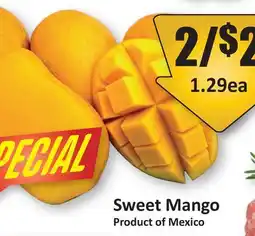 Starsky Sweet Mango offer