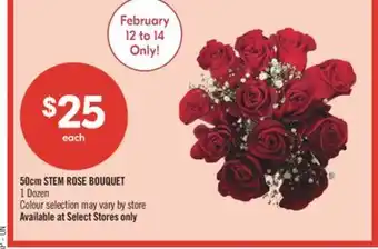 Shoppers Drug Mart 50cm STEM ROSE BOUQUET 1 Dozen Colour selection may vary by store offer