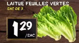 Marche Salaberry LAITUE FEUILLES VERTES offer