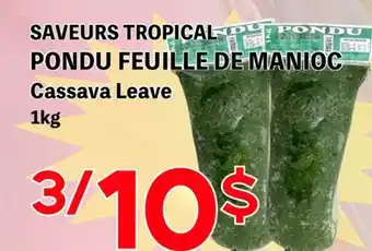 Marche Salaberry SAVEURS TROPICAL PONDU FEUILLE DE MANIOC offer