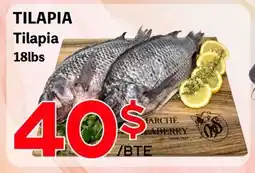 Marche Salaberry TILAPIA offer