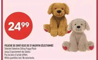 Pharmaprix Selected Valentine Sitting Puppy Plush offer