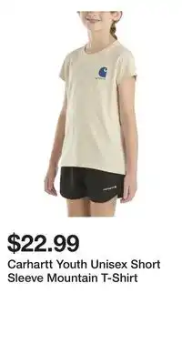 Mark's Carhartt Youth Unisex Short Sleeve Mountain T-Shirt offer