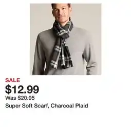 Chapters Indigo Super Soft Scarf, Charcoal Plaid offer