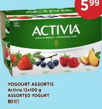 Kim Phat ACTIVIA ASSORTED YOGURT offer