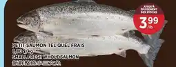 Kim Phat SMALL FRESH WHOLE SALMON offer