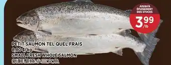 Kim Phat SMALL FRESH WHOLE SALMON offer