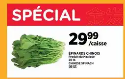 Kim Phat CHINESE SPINACH offer