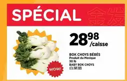 Kim Phat BABY BOK CHOYS offer