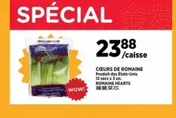 Kim Phat ROMAINE HEARTS offer