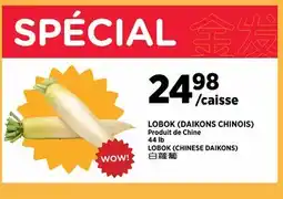 Kim Phat LOBOK (DAIKONS CHINOIS) offer