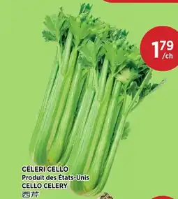 Kim Phat CELLO CELERY offer