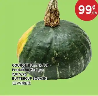 Kim Phat BUTTERCUP SQUASH offer