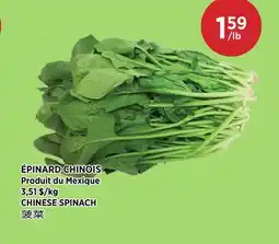 Kim Phat CHINESE SPINACH offer