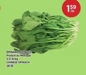 Kim Phat CHINESE SPINACH offer