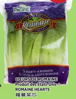 Kim Phat ROMAINE HEARTS offer