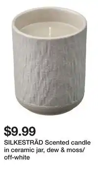 IKEA SILKESTRÄD Scented candle in ceramic jar, dew & moss/off-white offer