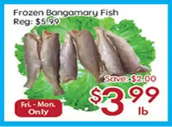 Sunny Food Mart Frozen Bangamary Fish offer