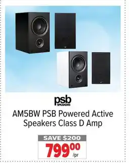 2001 Audio Video AM5BW Powered Active Speakers Class D Amp/pr offer