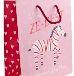 Party City Valentine's Day Ze-Best Pink & Red Gift Bags for Valentine's/Anniversary Day offer