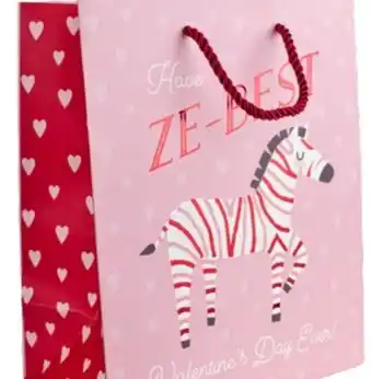 Party City Valentine's Day Ze-Best Pink & Red Gift Bags for Valentine's/Anniversary Day offer