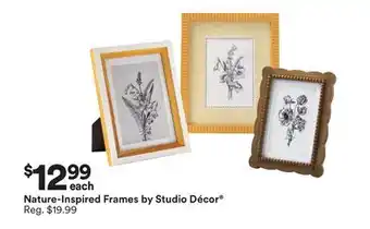 Michaels Nature-Inspired Frames by Studio Décor offer