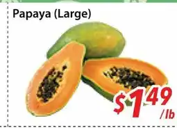 Bestco Food Mart Papaya (Large) offer