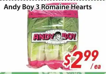 Bestco Food Mart Andy Boy 3 Romaine Hearts offer