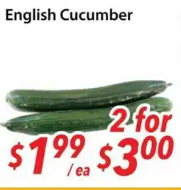 Bestco Food Mart English Cucumber offer