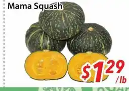 Bestco Food Mart Mama Squash offer