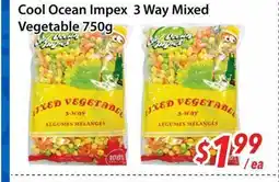 Bestco Food Mart Cool Ocean Impex 3 Way Mixed Vegetable 750g offer