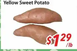 Bestco Food Mart Yellow Sweet Potato offer