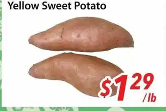 Bestco Food Mart Yellow Sweet Potato offer