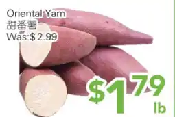 Ample Food Market Oriental Yam offer